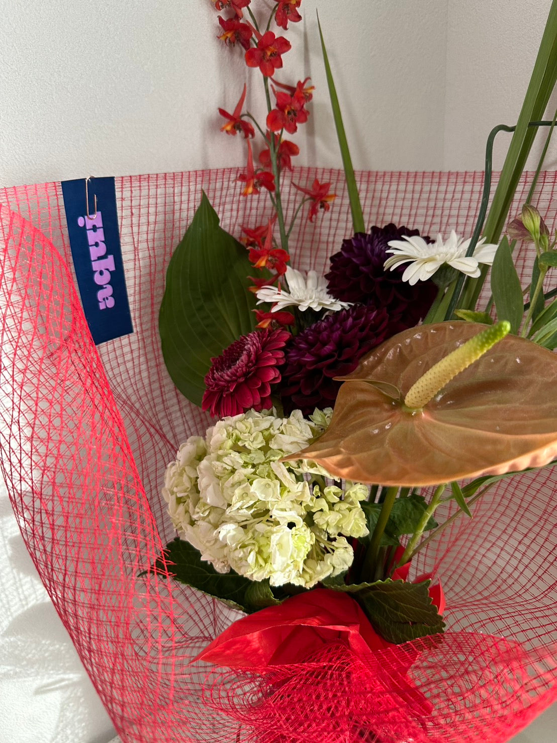 aqui flower subscription premium