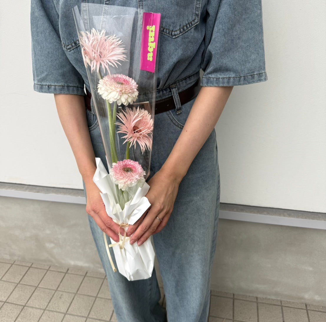 Gerbera